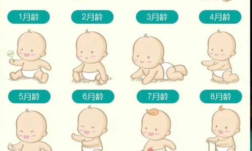 天津格林国际幼儿园学费-雪莲花颗粒冲剂怎么服用-电线为什么是两根,中国雪莲花颗粒冲剂网站